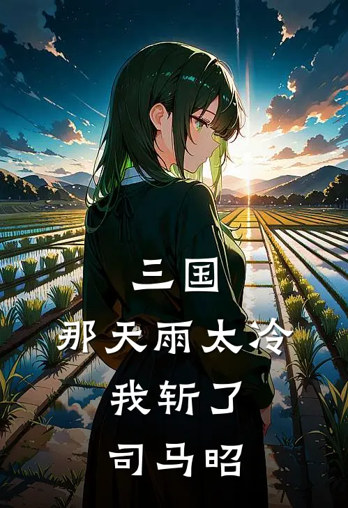 三国：那天雨太冷，我斩了司马昭